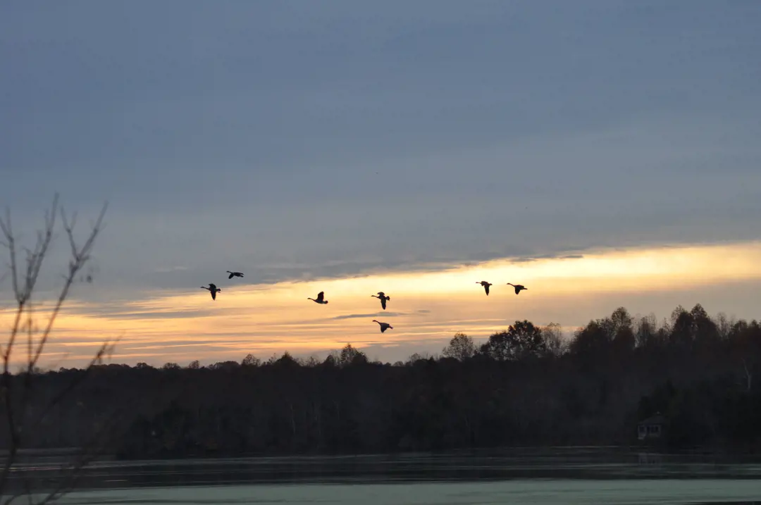 Recreation & Entertainment