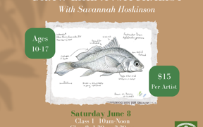 Promotional poster showing a fish illustration with text including “Ages 10–17” and “$15 per artist.”