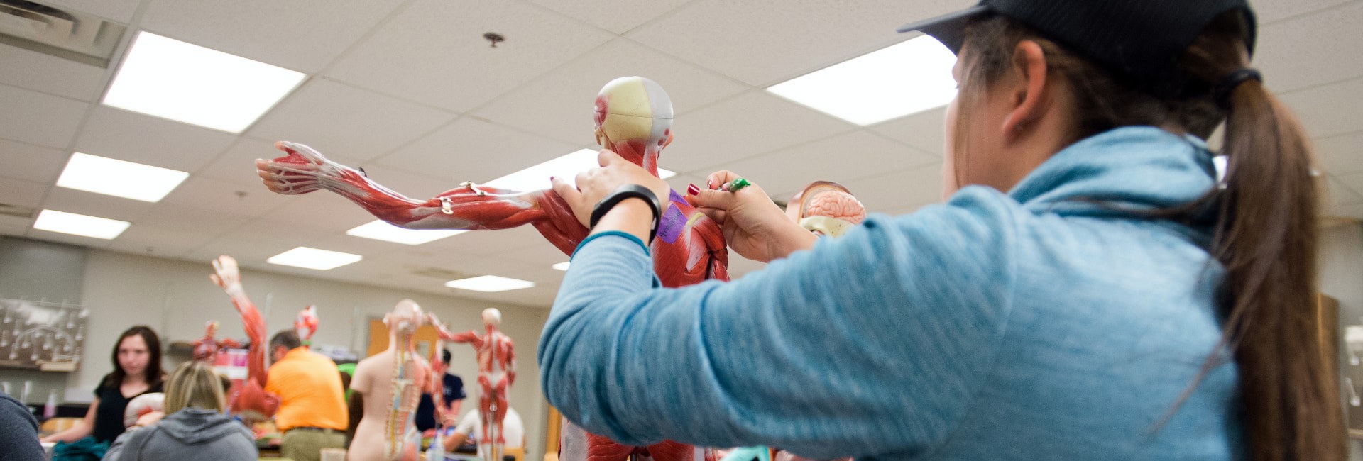 PrePhysical Therapy University of Southern Indiana