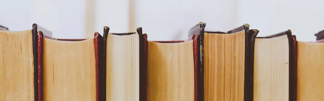 Bylaws and Meeting Minutes