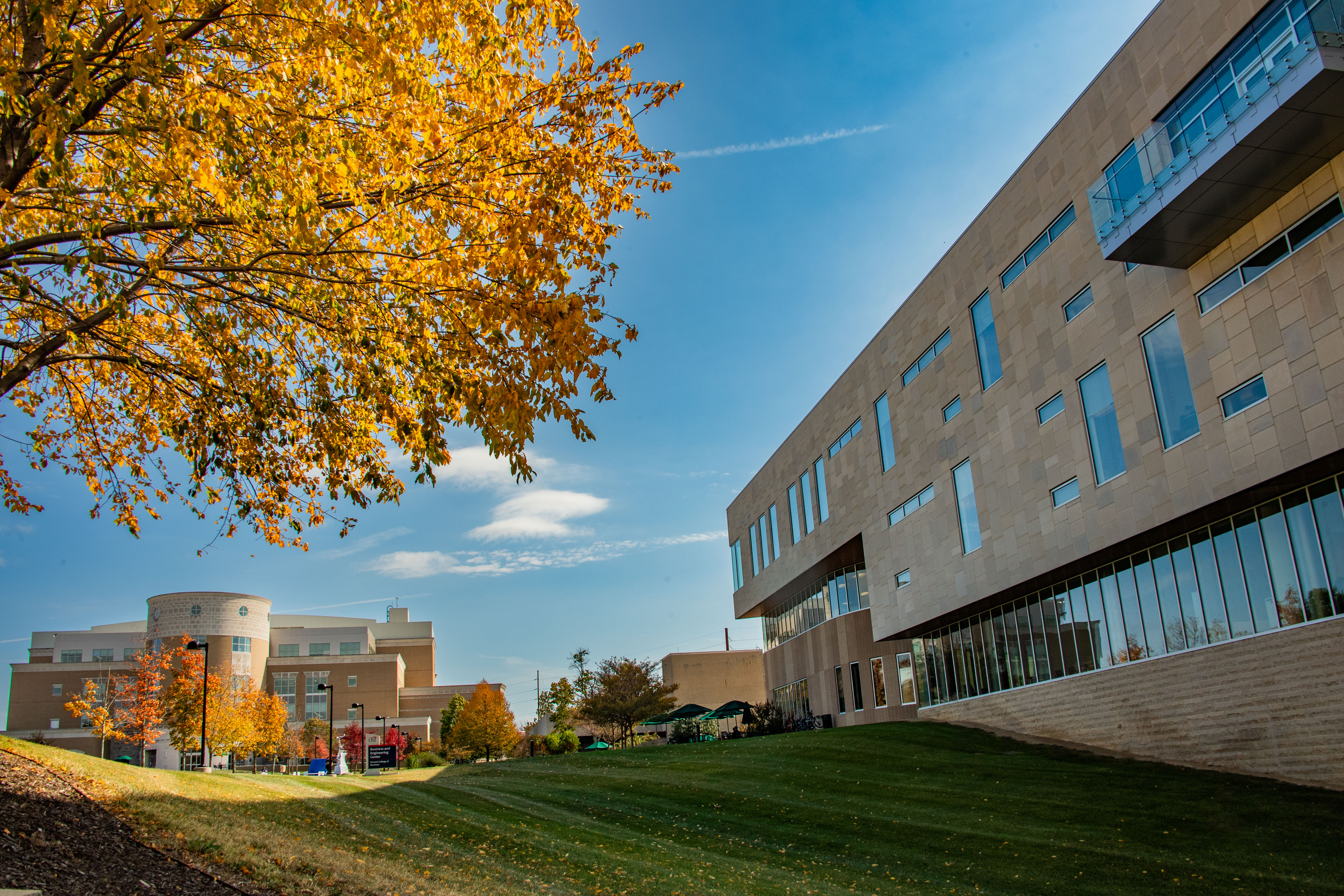 Policies, Procedures and Community Standards