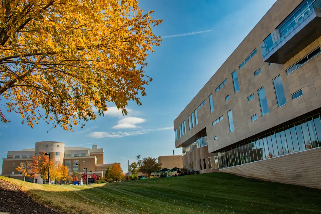 Policies, Procedures and Community Standards